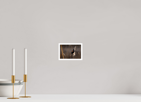 6 x 4″, Simple Gloss Red-winged blackbird