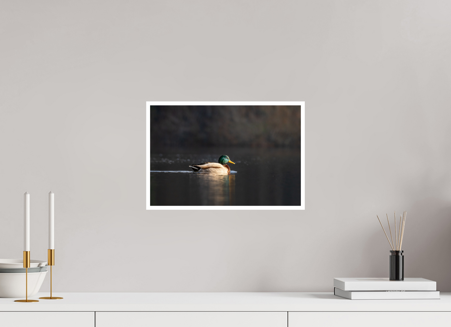 15 x 10″, Simple Gloss Resting Male Mallard