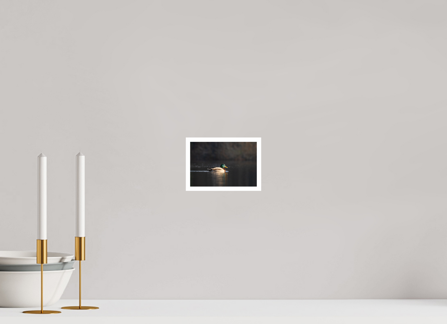 6 x 4″, Fancy Paper Resting Male Mallard