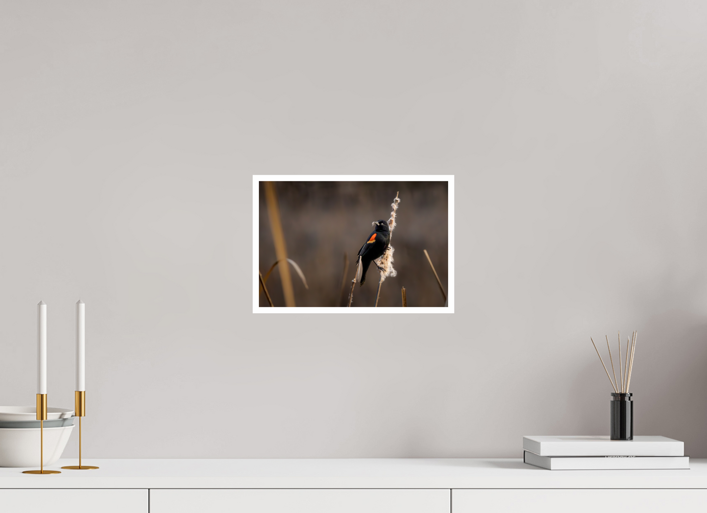 12 x 8″, Fancy Paper Red-winged blackbird