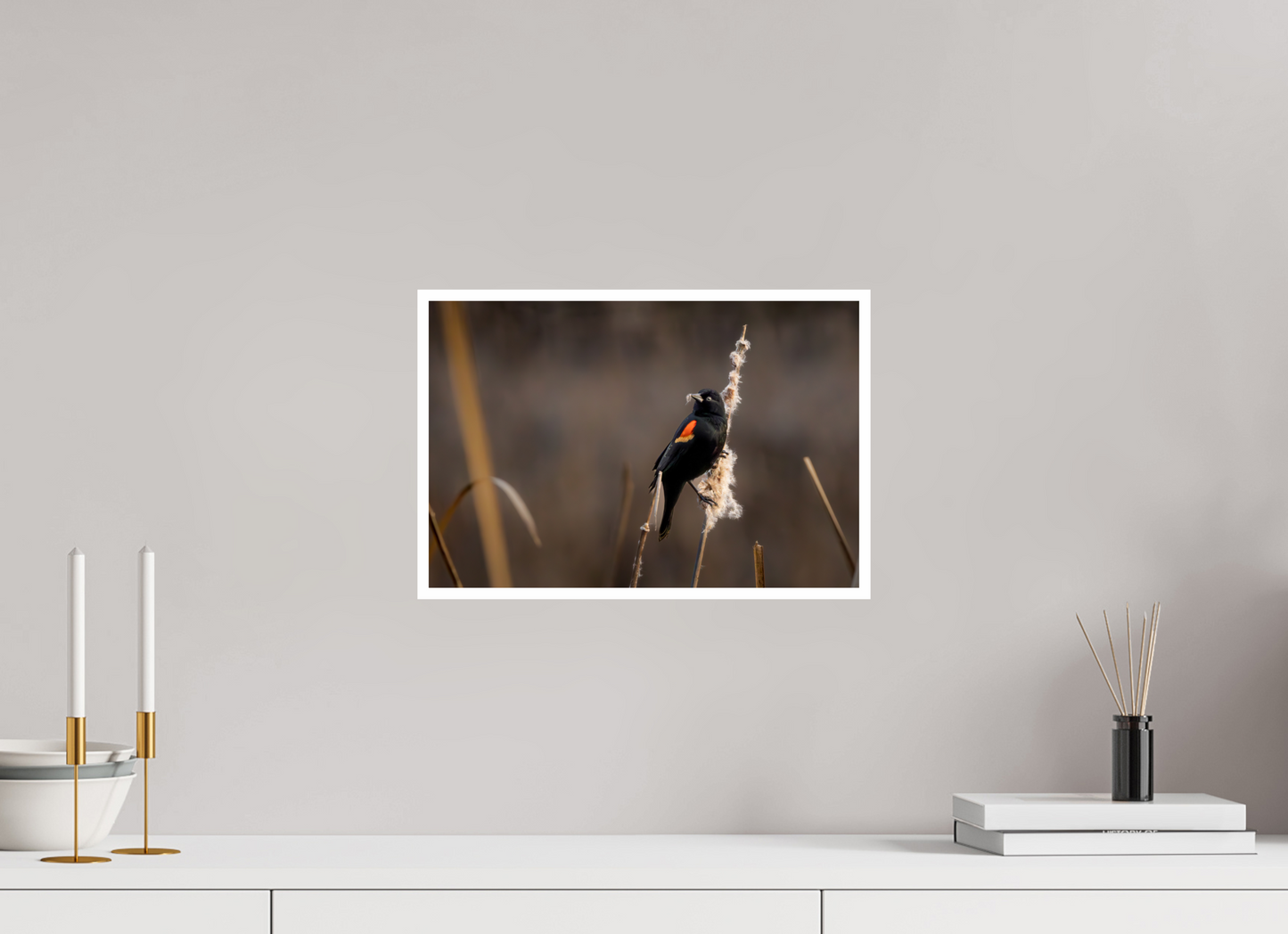 15 x 10″, Fancy Paper Red-winged blackbird