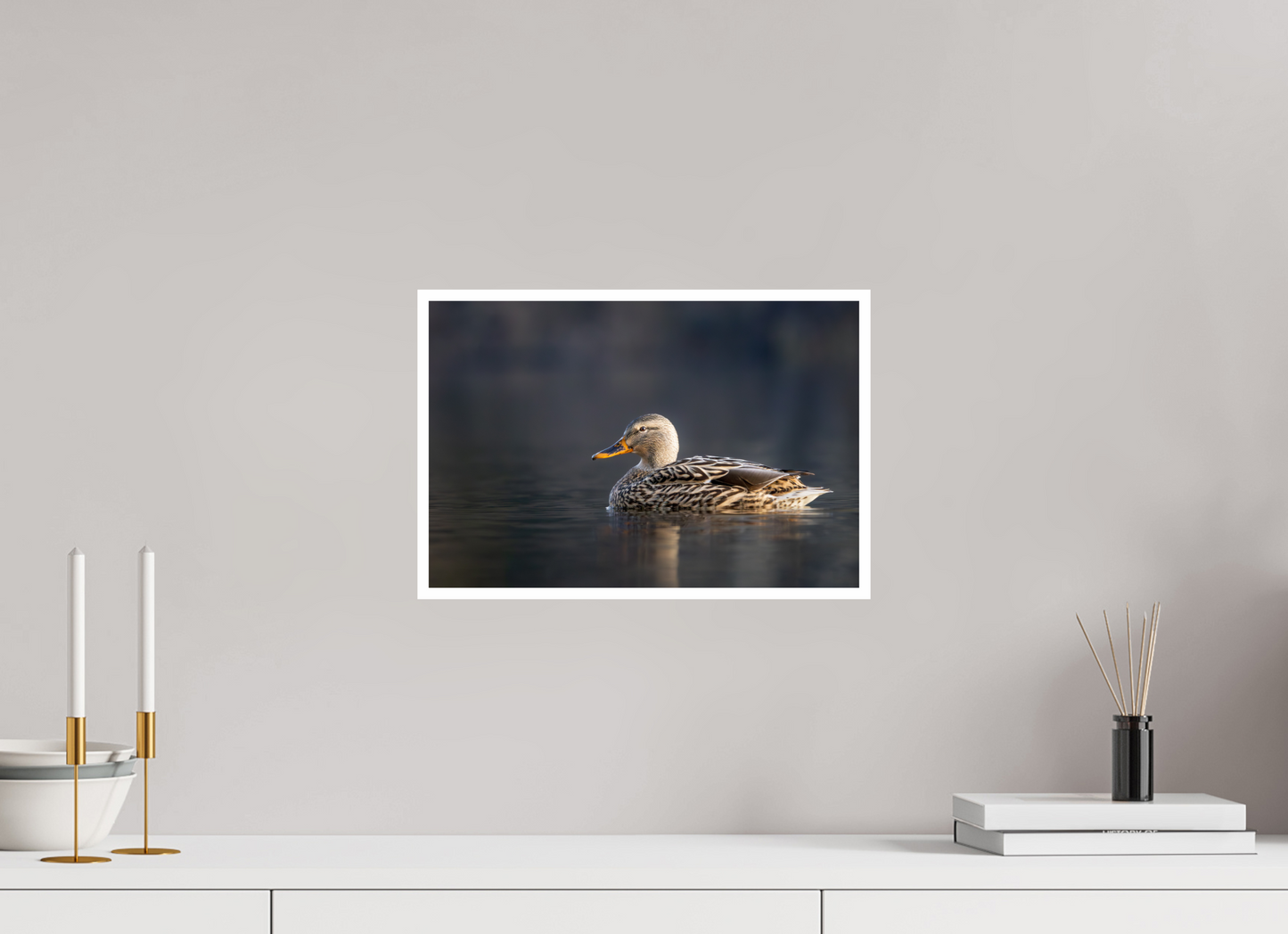 15 x 10″, Fancy Paper Resting Female Mallard
