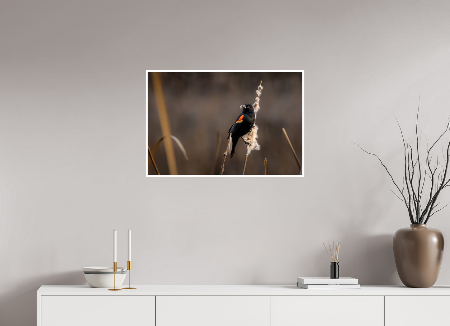 30 x 20″, Simple Gloss Red-winged blackbird